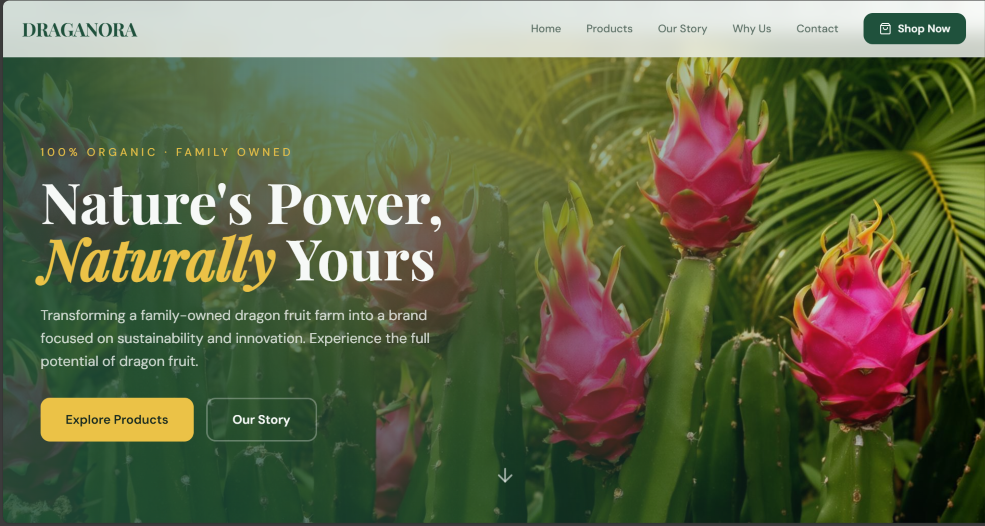 Screenshot 2026-02-20 151520